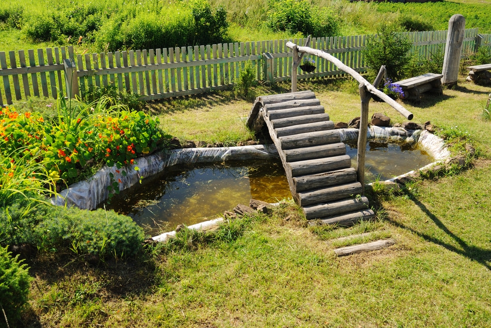 Sommerende - Teich mit Brücke