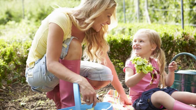 Mutter und Tochter ernten Salat im Garten Mutter und Tochter ernten Salat im Garten