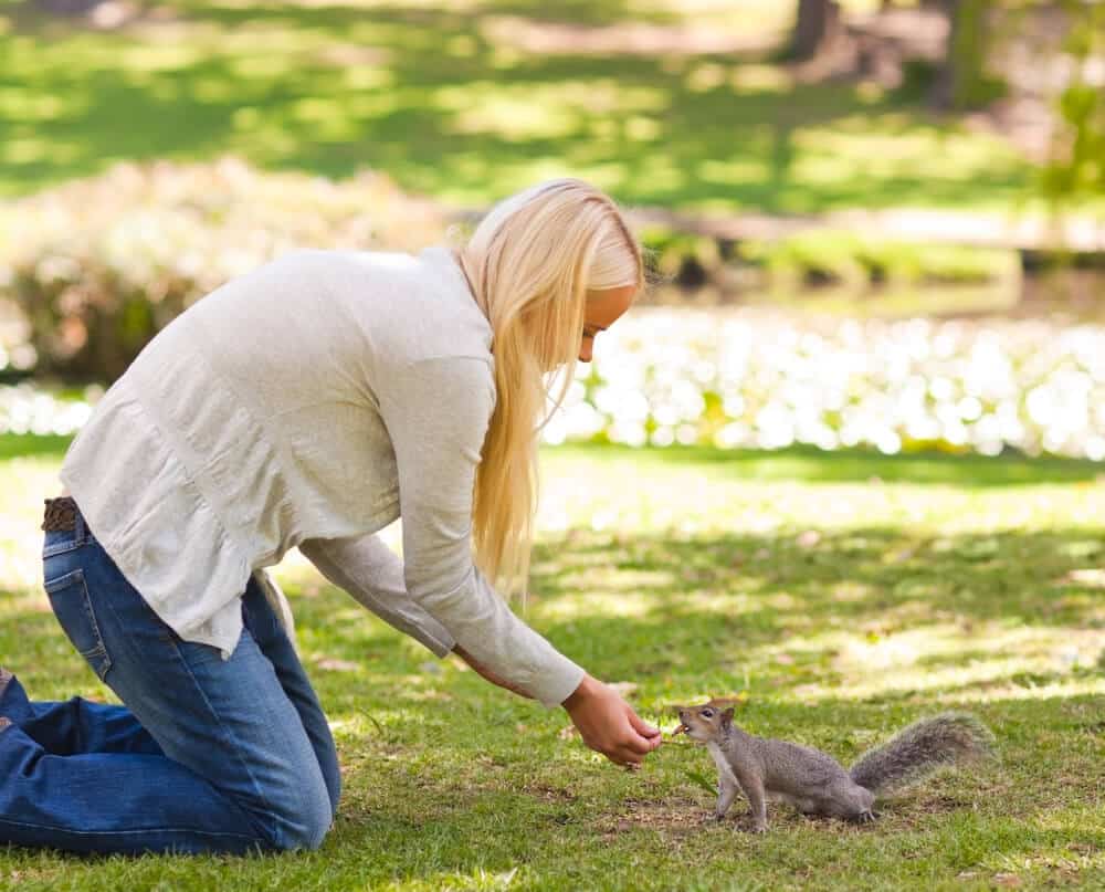 Frau füttert Eichhörnchen