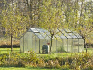Glasgewächshaus