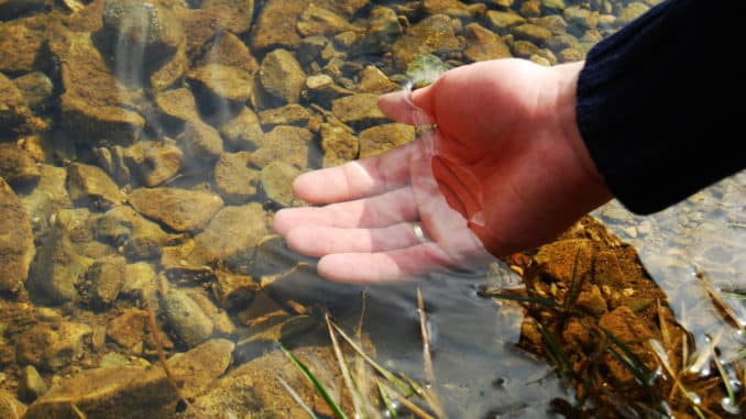 Wassertest