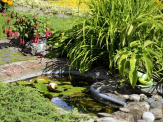 Gartenteich mit Kapillarsperre