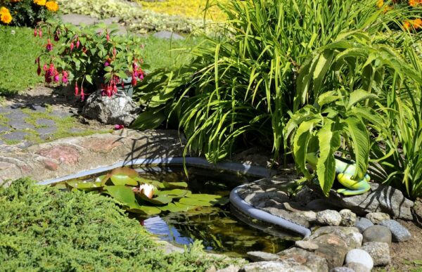 32+ Teich Vor Überlaufen Schützen, Plötzlich fällt mir auf, dass