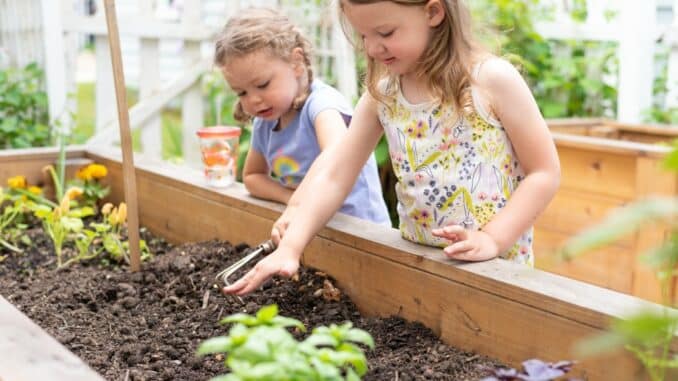 Kinder pflegen ein Hochbeet Kinder pflegen ein Hochbeet