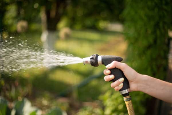 Vorteilhaft für die Pflanzenwelt Gartenbewässerung mit einer Pumpe