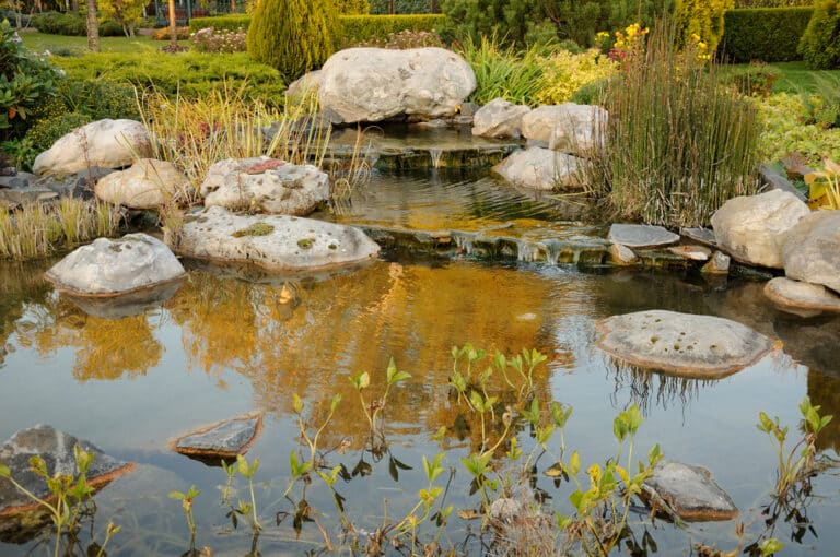 Mit einem Teichschlammsauger zum sauberen Teich! Terrasse & Garten