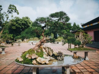 Gartenanlage in Vietnam