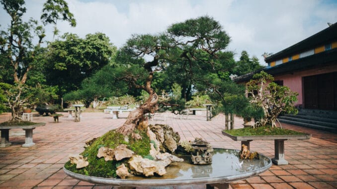 Gartenanlage in Vietnam