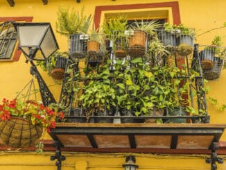 Balkon mit Pflanzen