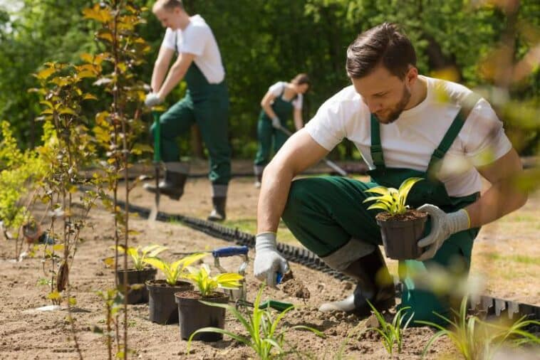 Ein von Grund auf neuer Garten wird geschaffen