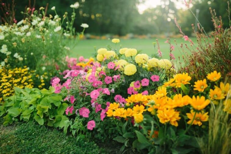 Frühlingsblumen im Garten